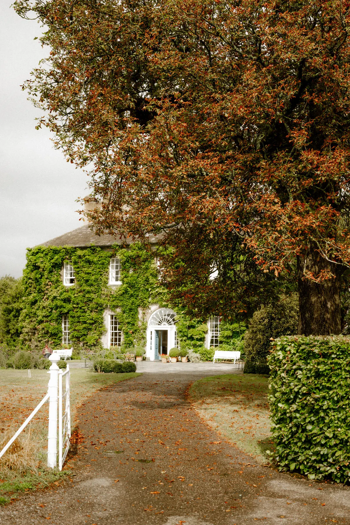 Ballymaloe House courtyard entrance with ivy-covered building, arch windows, and autumn leaves on the path